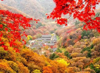 Trang phục phù hợp nhất khi du lịch Hàn Quốc vào mùa Thu