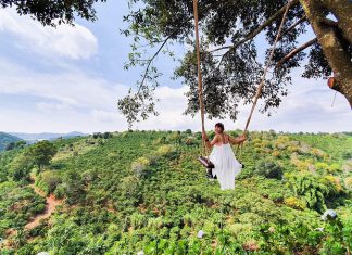Đà Lạt có gì chơi? Khám phá ngay bí kíp tung hoành Đà Lạt