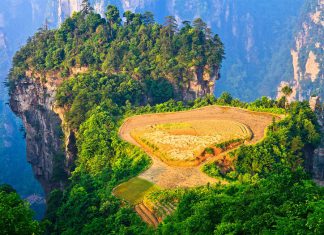 Du lịch Trung Quốc khám phá Trương Gia Giới mùa Xuân