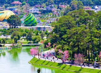 Kinh nghiệm đi du lịch Đà Lạt từ A – Z cho người mới