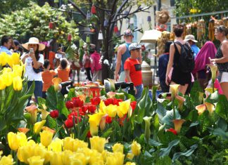 Ý Tưởng Du Lịch Tết Trong Nước Dành Cho Bạn du lich tet