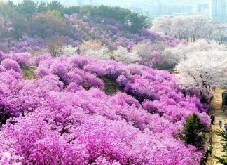 du lịch Sapa mùa nào đẹp nhất mà mình nên đi nhỉ? Cùng tìm hiểu du lịch Sapa mùa nào đẹp nhất?