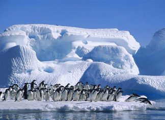 Những điều du khách cần biết trước chuyến du lịch bắc cực Những điều du khách cần biết trước chuyến du lịch bắc cực