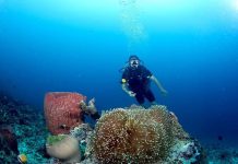 Đảo Bunaken - thiên đường lặn biển lý tưởng trong tour du lịch Indonesia