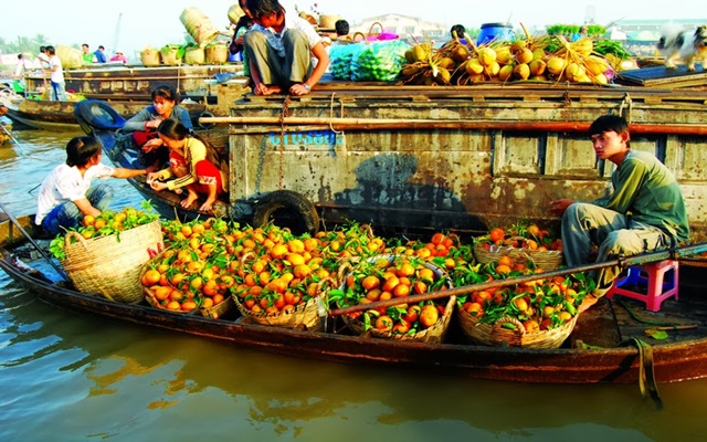 Đâu là điểm đến thú vị nhất trong tour du lịch Cần Thơ tự túc mùa hè?