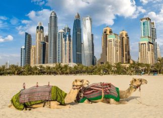 Tour du lịch Dubai giá bao nhiêu tiền? Các khoản chi phí cần thiết