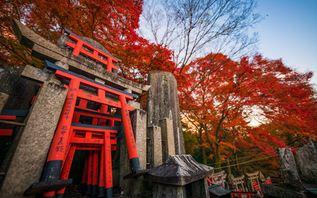 Khám phá list 6 đền chùa linh thiêng, nổi tiếng khi du lịch Nhật Bản