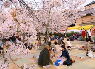 Tổng hợp 7 lễ hội đặc sắc mà khách du lịch Nhật Bản không thể bỏ lỡ Tổng hợp 7 lễ hội đặc sắc mà khách du lịch Nhật Bản không thể bỏ lỡ