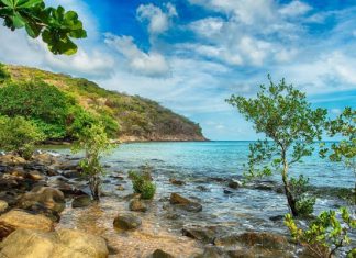 Cẩm nang tham quan bãi Ông Đụng nổi tiếng trong tour du lịch Côn Đảo Giới thiệu về bãi Ông Đụng - Côn Đảo