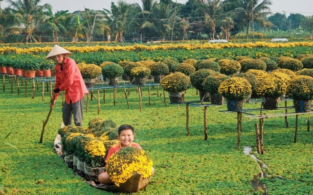 Cẩm nang du lịch: ăn gì, chơi gì, ở đâu Đồng Tháp